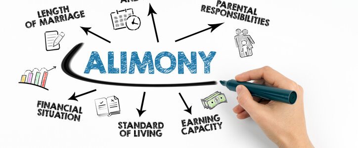 Alimony Concept. Chart with keywords and icons on white background.